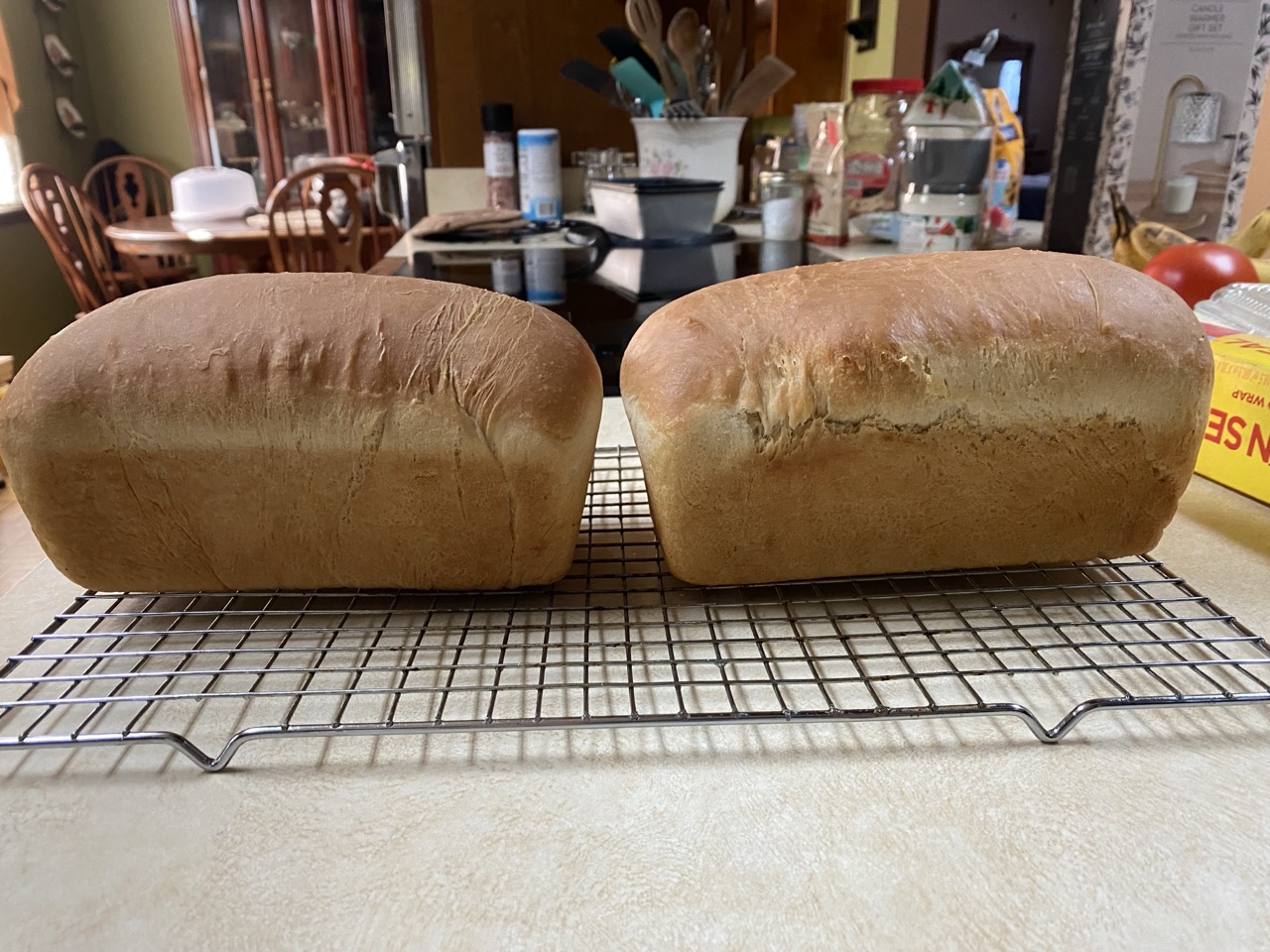 A1491C05-1CB3-4AB8-8B21-7841621F741D-Large